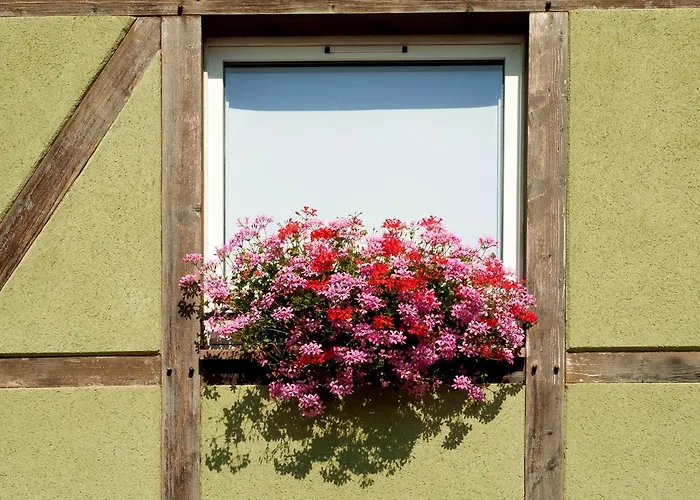 Als 3* 오트마르샤임